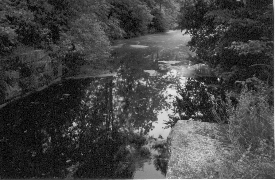 10-Canal#11Pecksport remains of old bridge abutment  Aug02