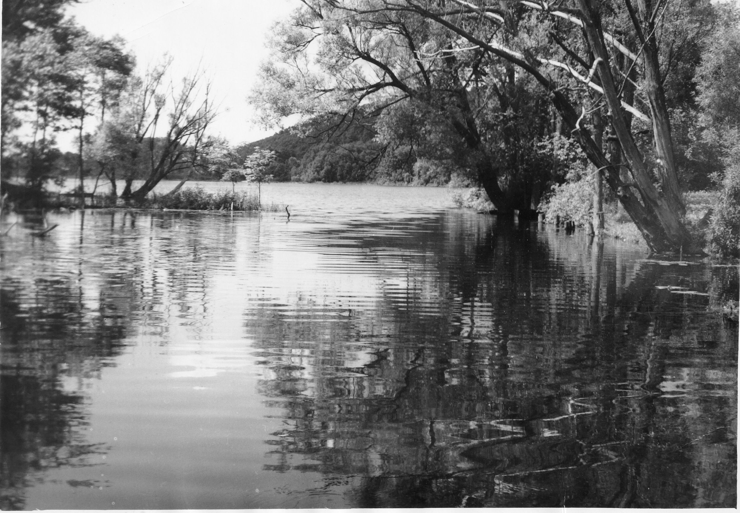 11-Woodman Pond old photo
